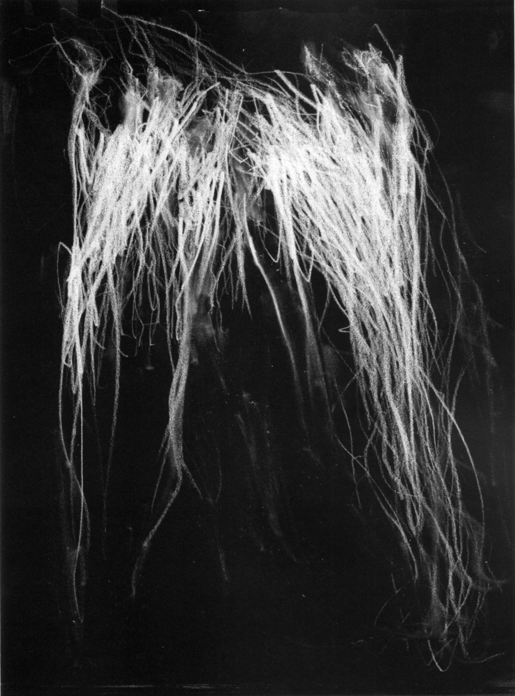 blackmetal-cy-twombly-volume-1-Andrew-McLeod